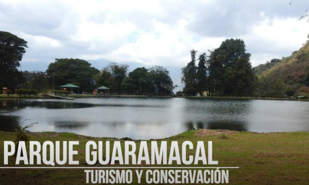Parque Nacional Guaramacal: El Tesoro de la Biodiversidad Andina en Venezuela