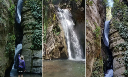 Cascada Caracol: Aventura y Adrenalina en el Corazón de la Serranía del Turimiquire