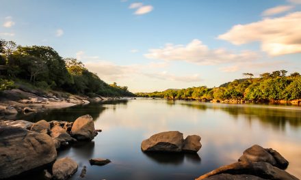 El Río Aro: Un Tesoro Guayanés en la Travesía de mi Vida