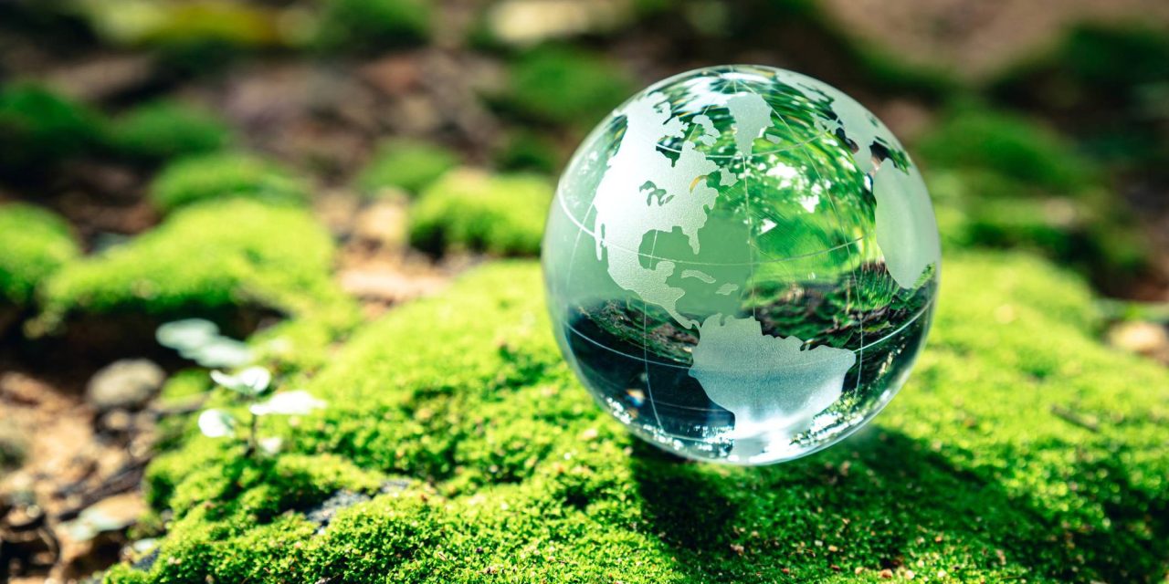Protegiendo Nuestro Paraíso Natural en el Día Mundial del Medio Ambiente