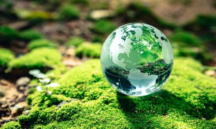 Protegiendo Nuestro Paraíso Natural en el Día Mundial del Medio Ambiente
