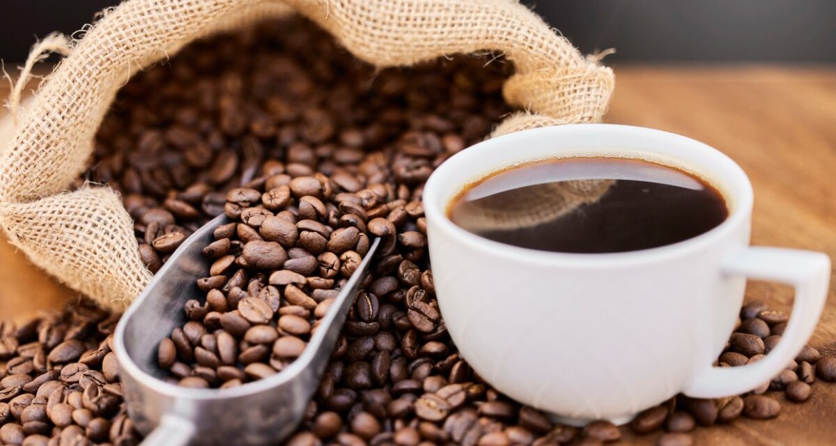 Con aroma a compromiso: ASOCANAIMA celebró el Día Internacional del Café uniendo turismo y Sostenibilidad