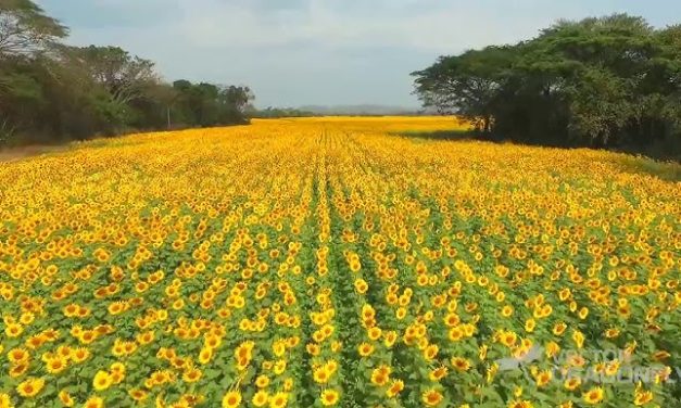 PorTurismo Impulsa la «Ruta de la Agrópolis» para la Transformación Sostenible en Portuguesa